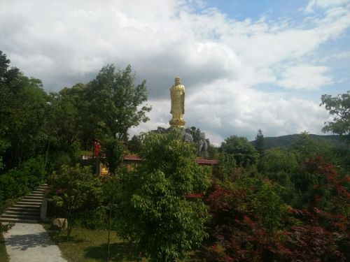 鲤龙潭森林公园旅行图片 1