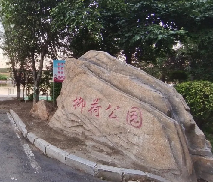柳荷公园