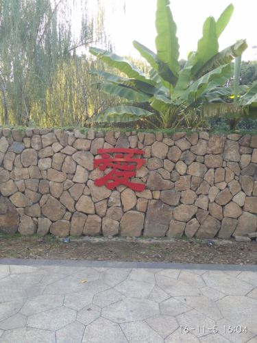东升公园旅行图片 3
