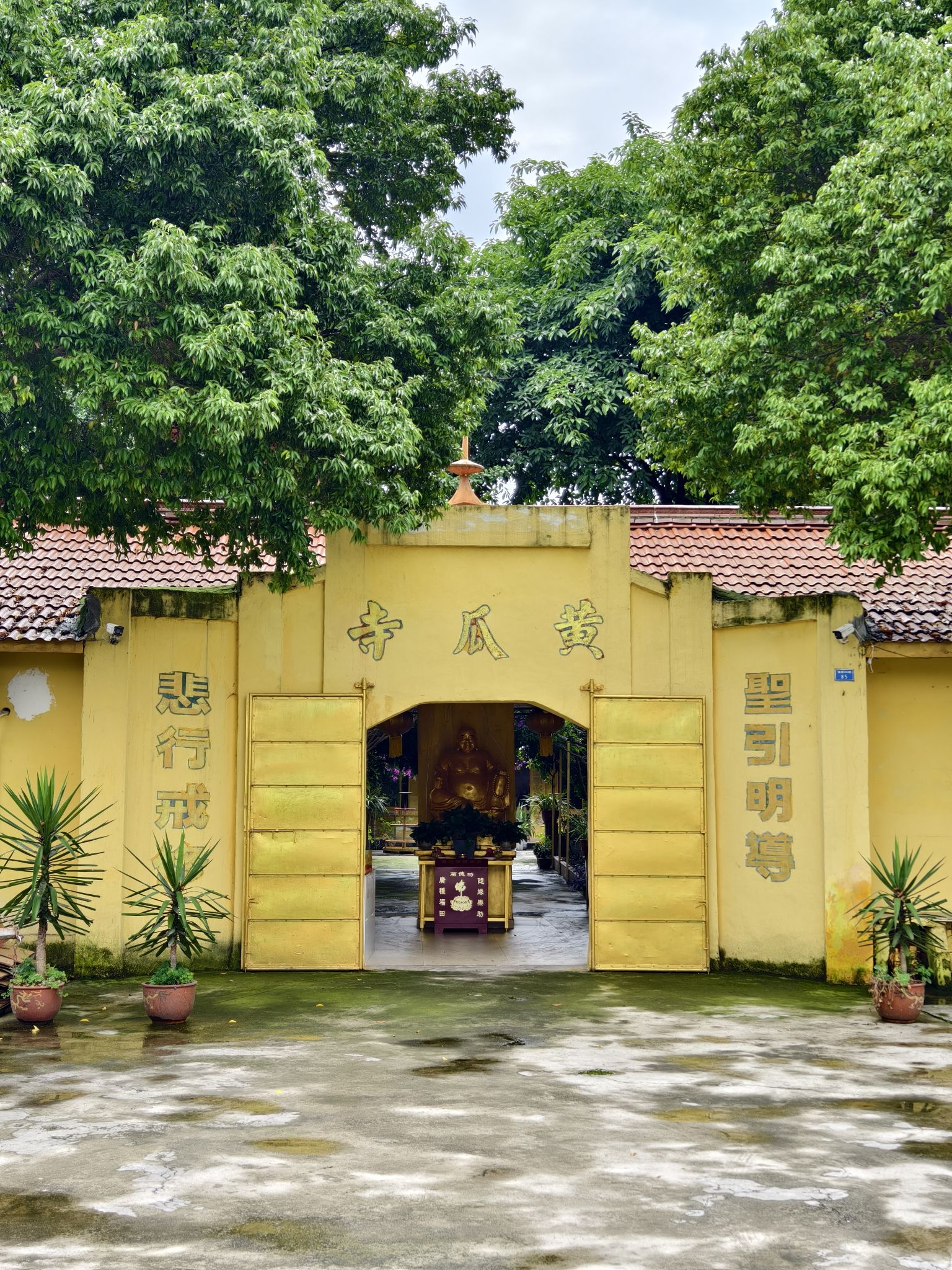 黄瓜寺实景照片