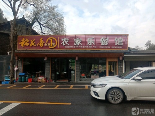 农家乐餐馆.老鸭店