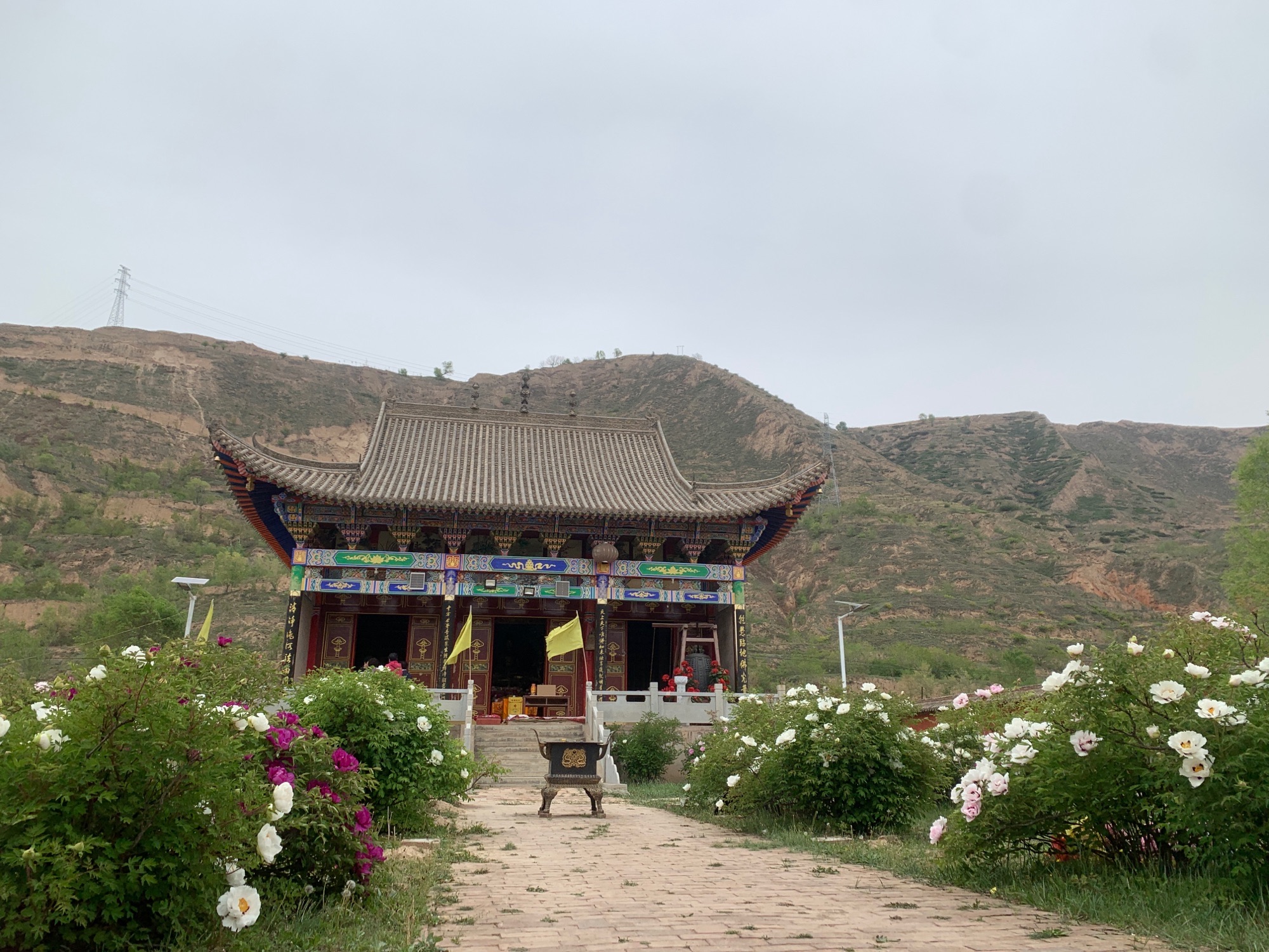 香根禅寺实景照片