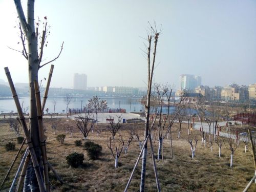 玉心湖公园旅行图片 3