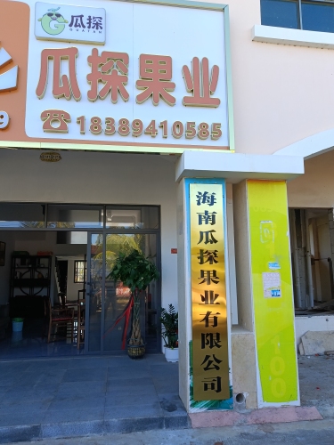 瓜探果业