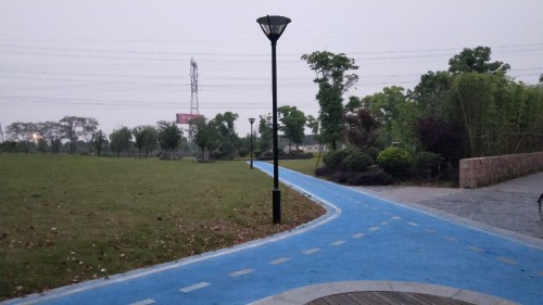 南星渎郊野公园旅行图片 3