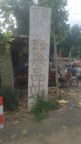 辛集市聚鑫果品站