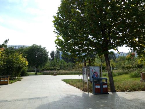 阳光公园