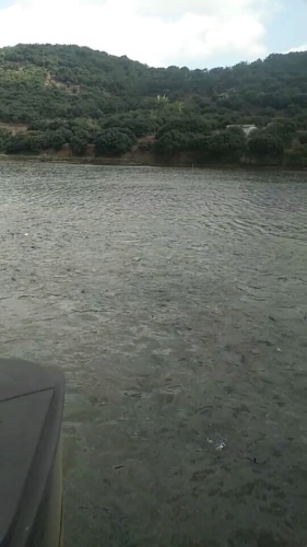 清湖荔枝生态园旅行图片 3