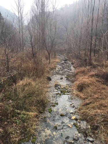 响水峪自然风景区旅行图片 3