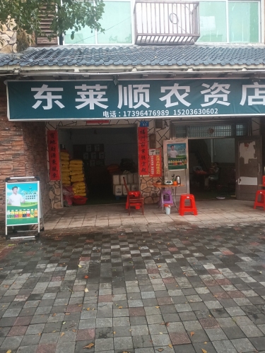 东莱顺
