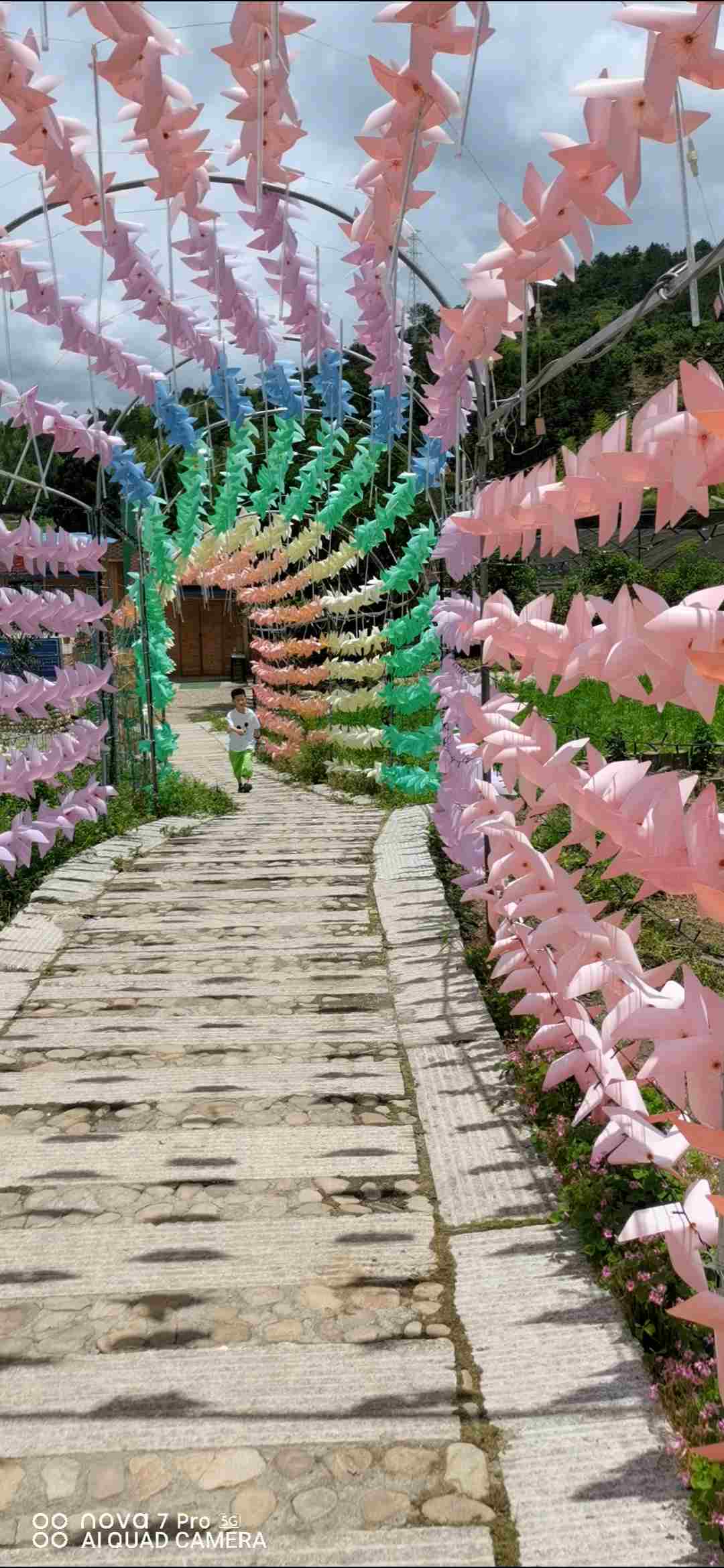 慈音寺实景照片