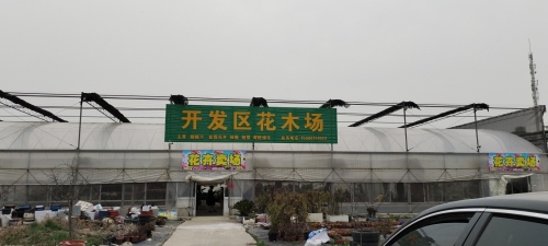 开发区花木场实景图（2）