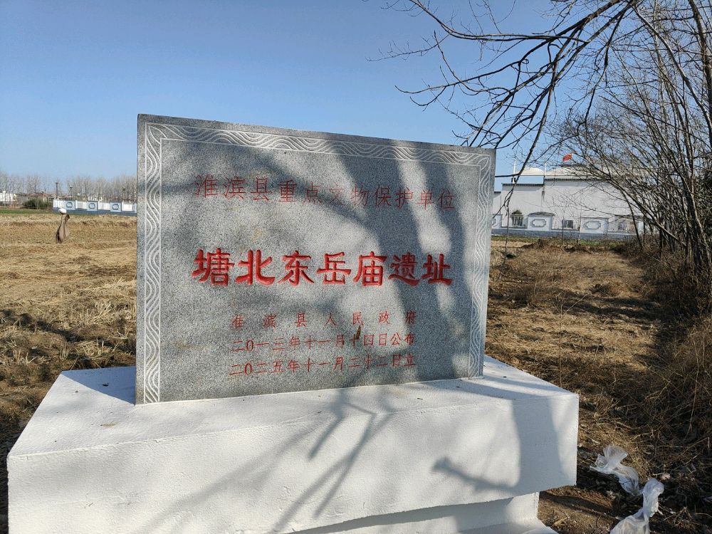 塘北东岳庙遗迹实景照片