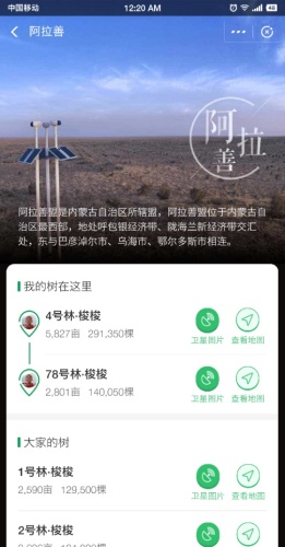 蚂蚁森林4号林·梭梭旅行图片 1