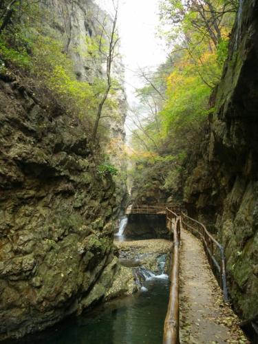 九龙潭青松岭峡谷风景区旅行图片 3