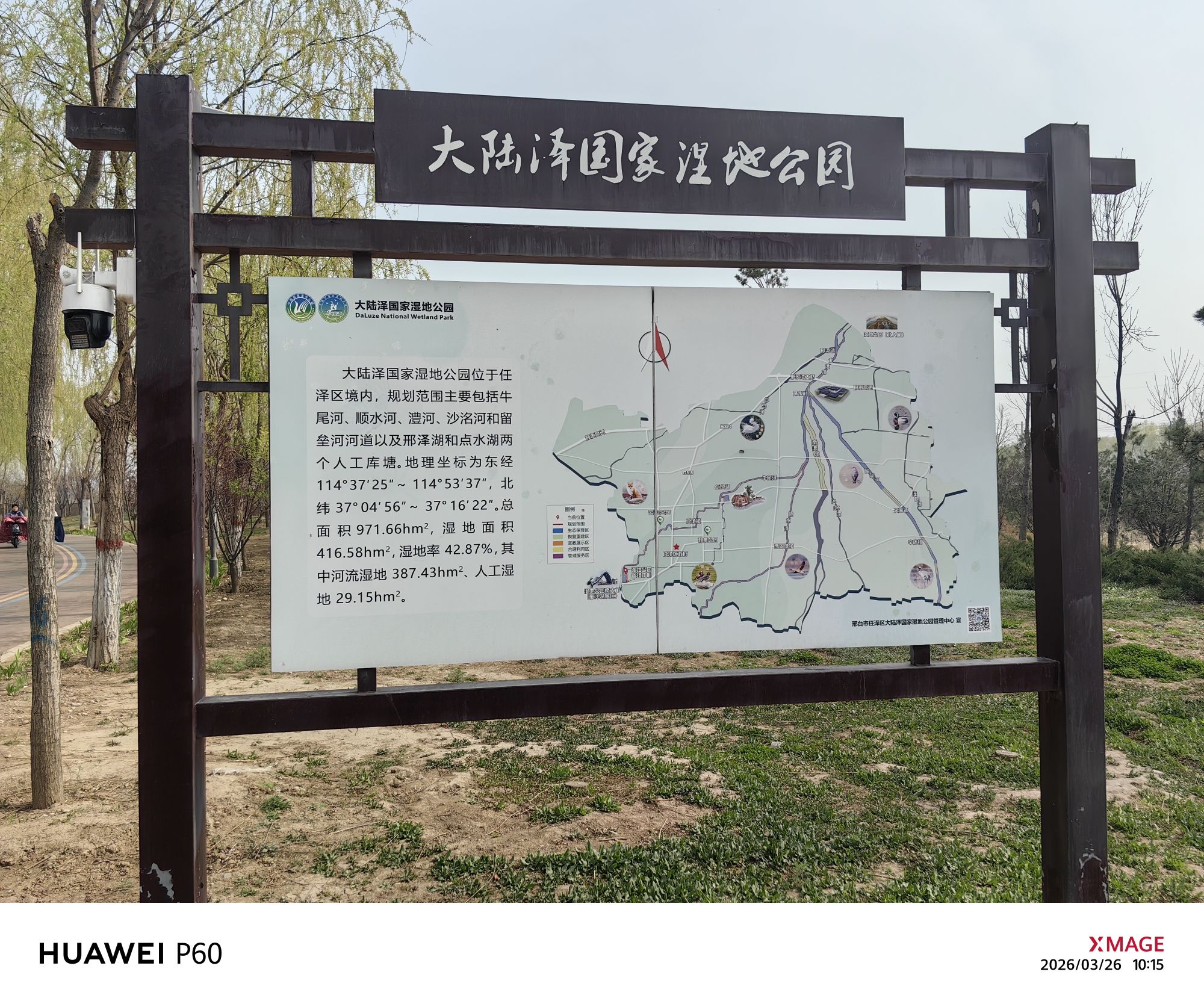 大陆泽国家湿地公园