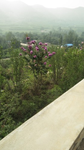 圣心山旅行图片 2