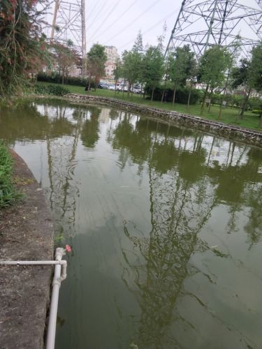 富竹公园旅行图片 1