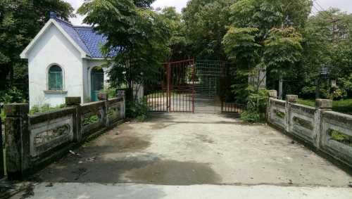泖田湿地旅行图片 3