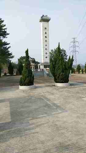 林基路纪念公园旅行图片 1