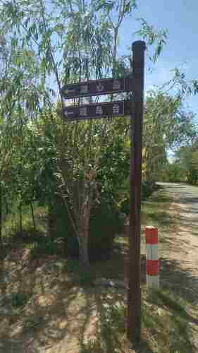 东营龙栖湖省级湿地公园旅行图片 3