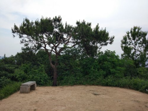 胜归山公园旅行图片 2