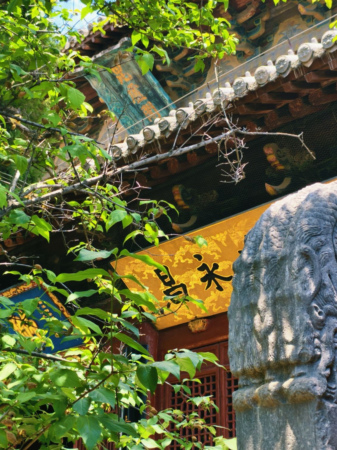 竺法兰殿实景照片