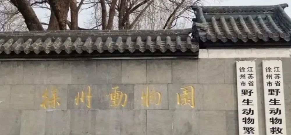 徐州动物园景点图片