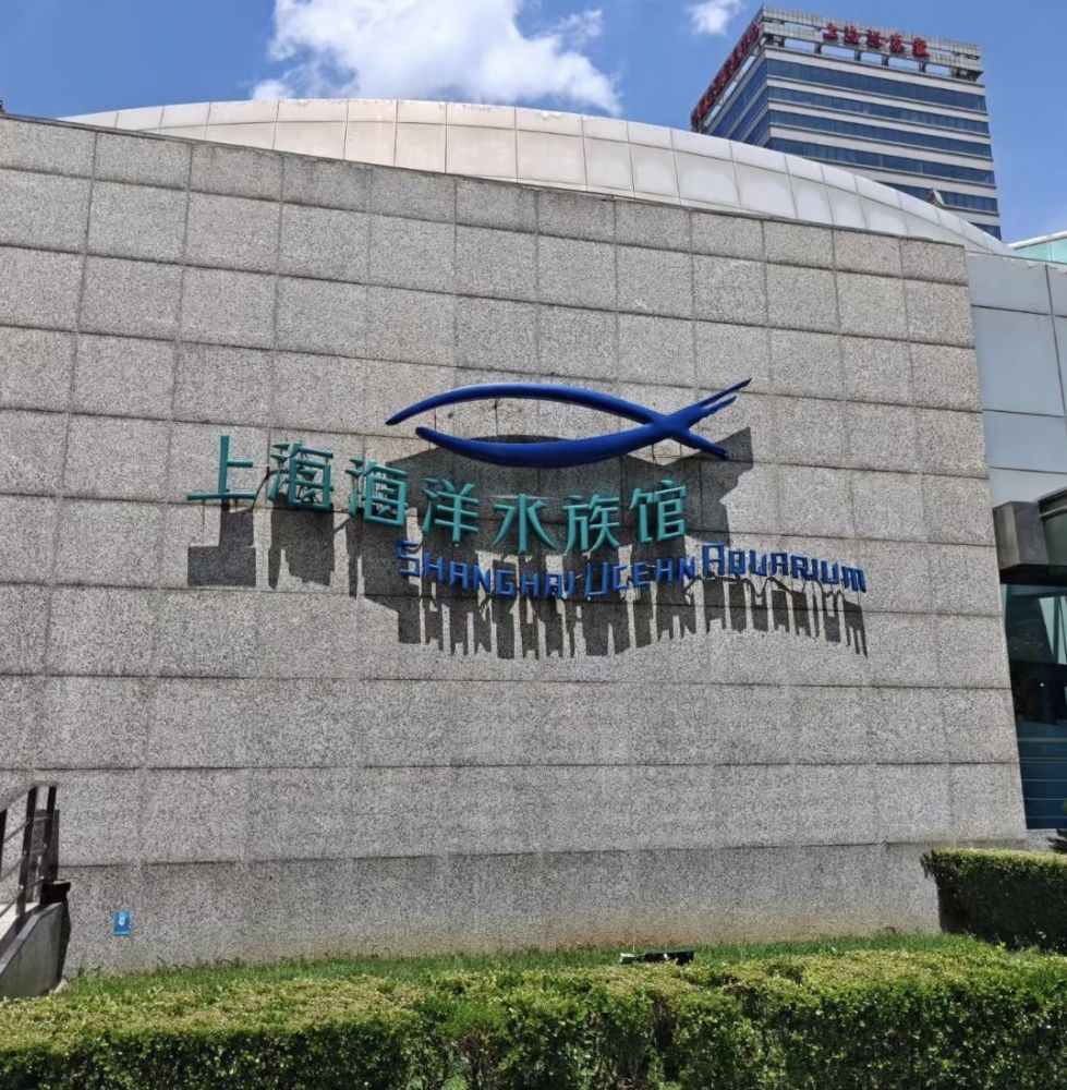 上海海洋水族馆景点图片