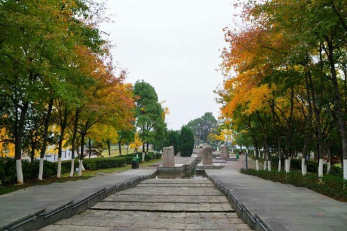 龙洲公园旅行图片 3