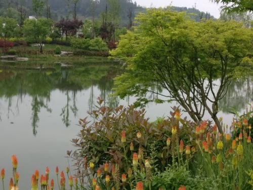 玉龙谷景区旅行图片 2