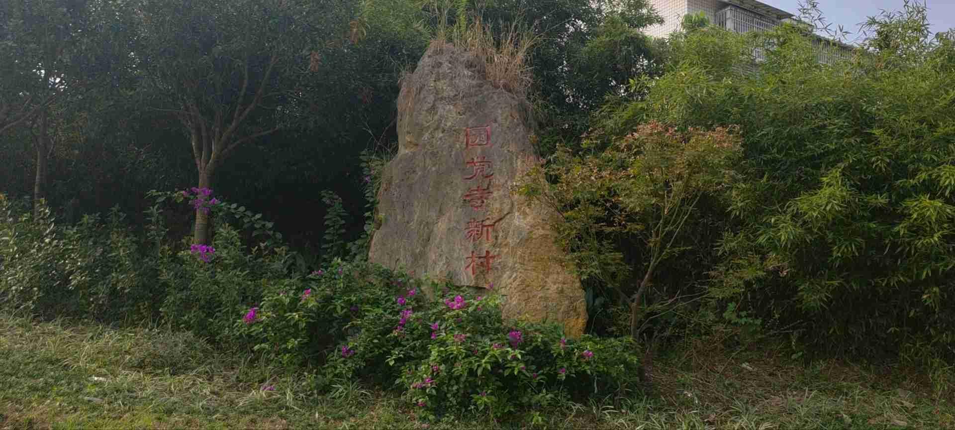 沿滩区永安镇新元村圆觉寺实景照片