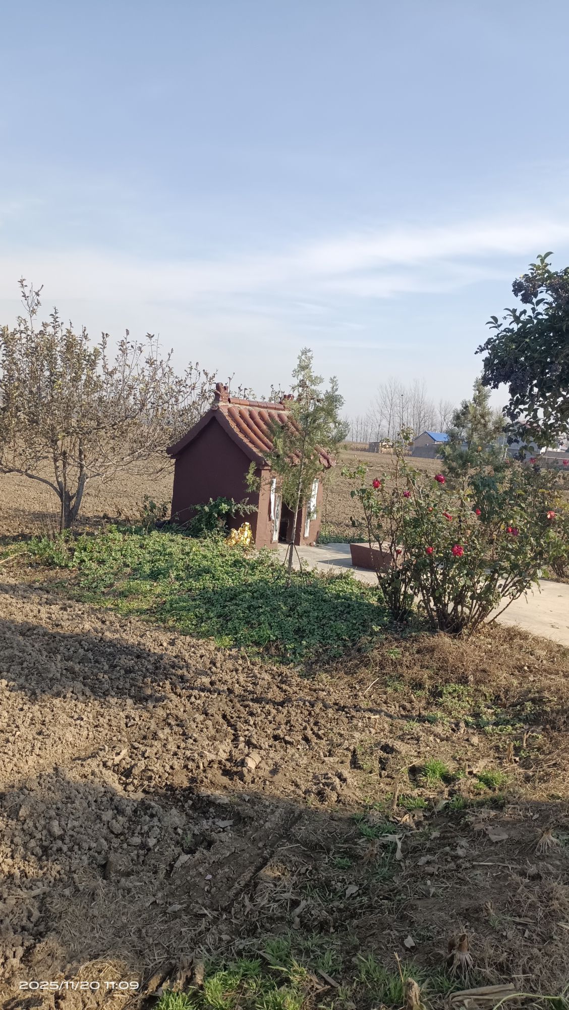 曹县地藏殿实景照片