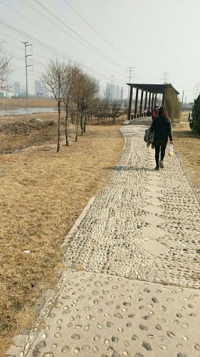 慕侠公园旅行图片 2