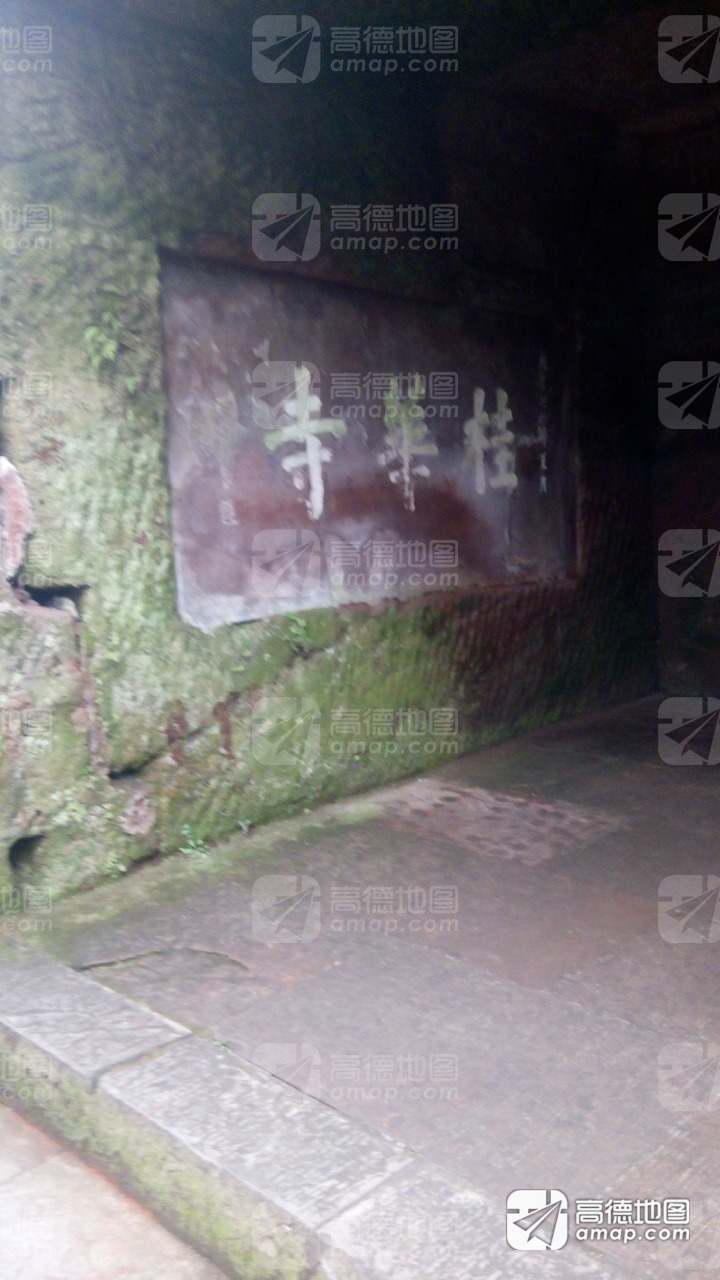 乐山大佛-桂华寺实景照片