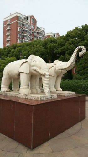 双象园旅行图片 3