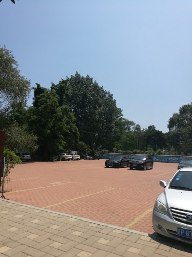 兴海公园旅行图片 1