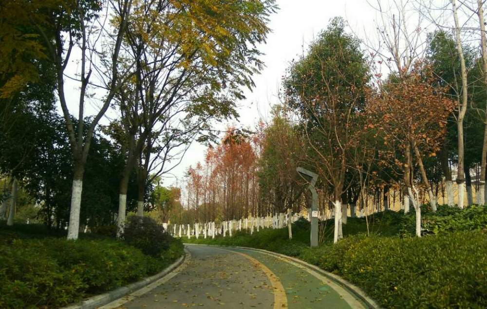 庐州公园景点图片