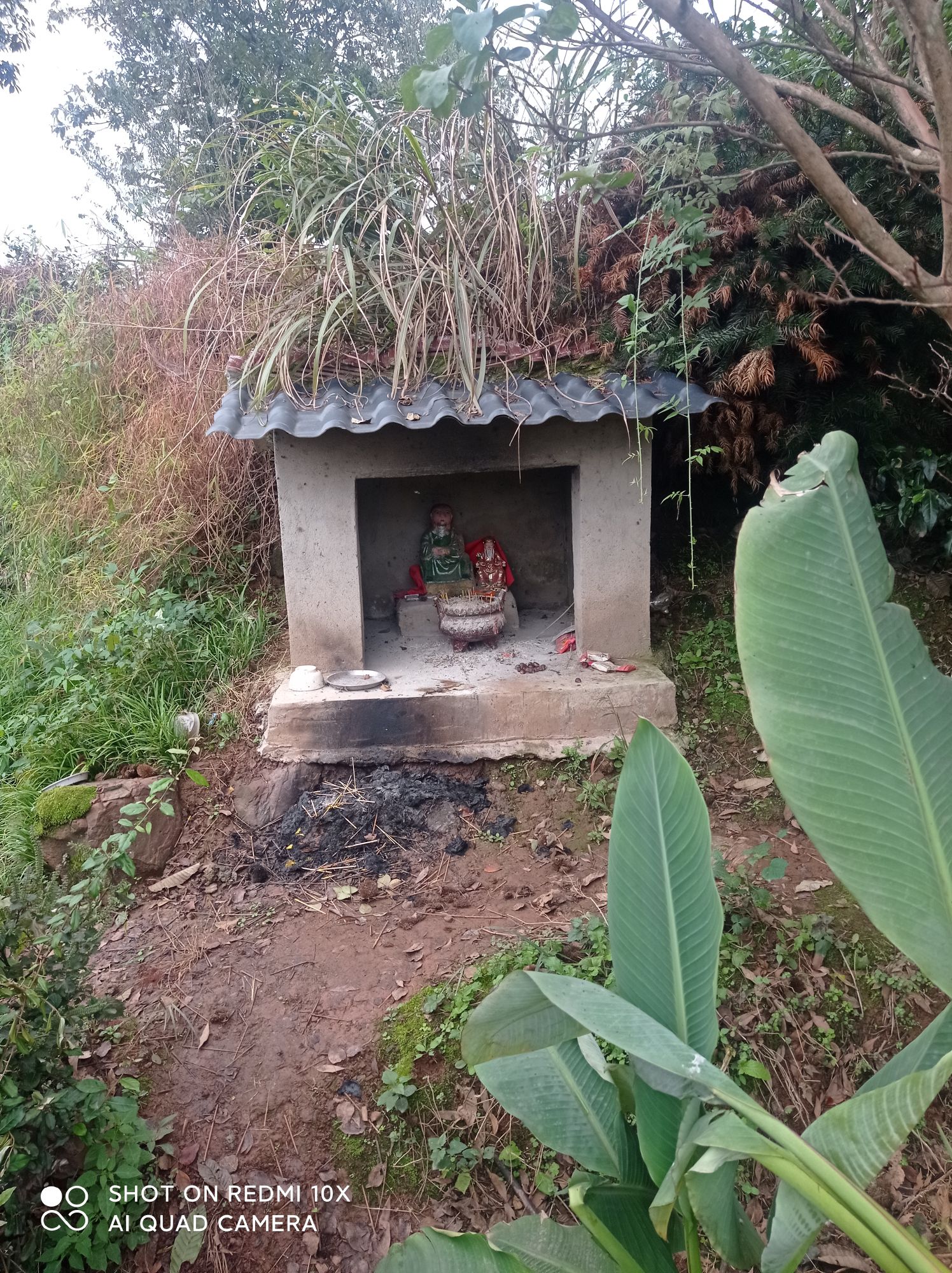 菩提寺实景照片