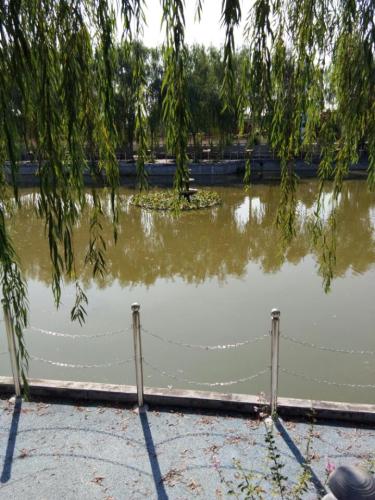 小孟镇和谐湖景区旅行图片 1