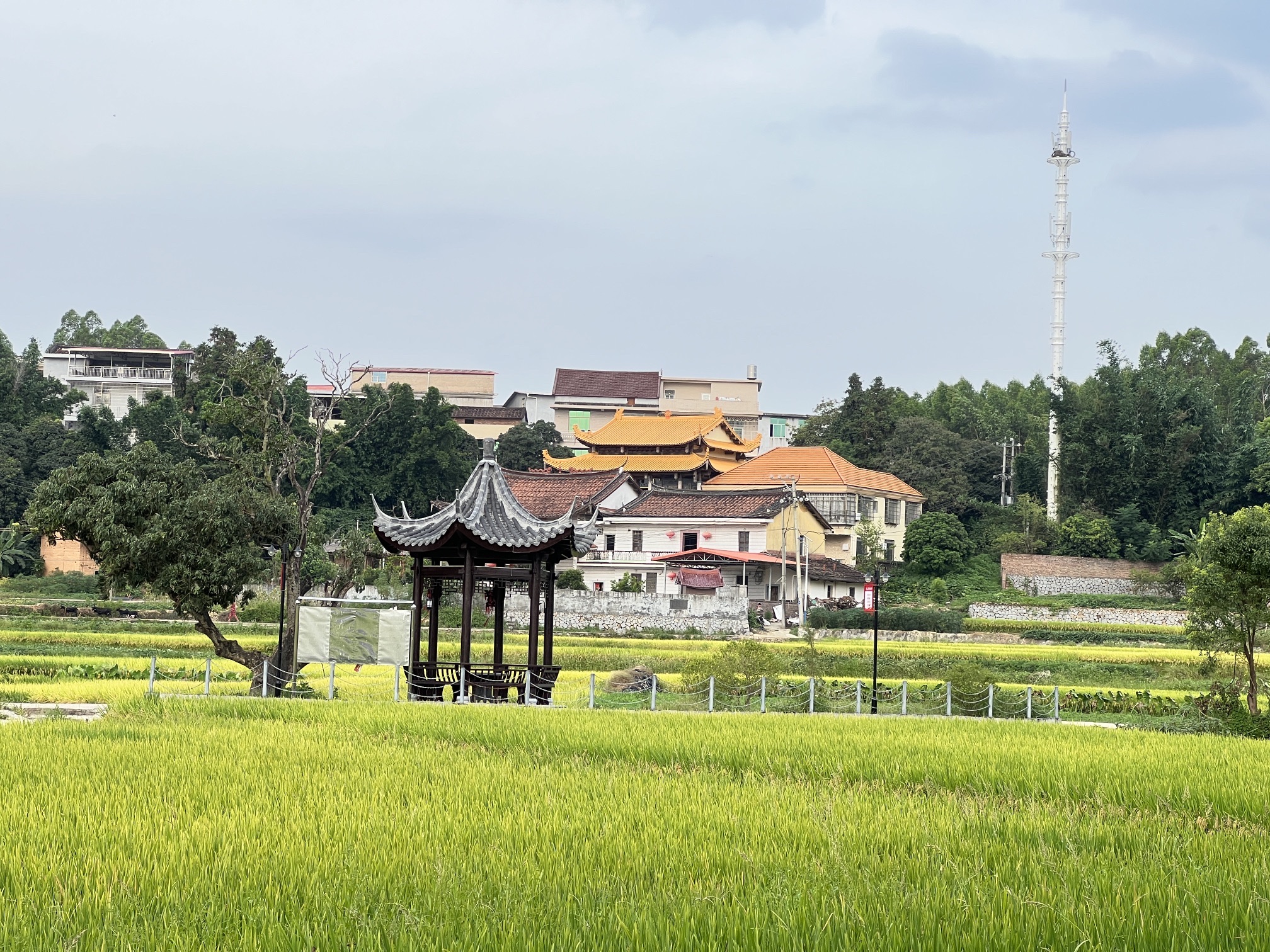 大运光兴寺实景照片