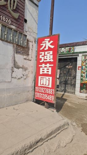 永强苗圃