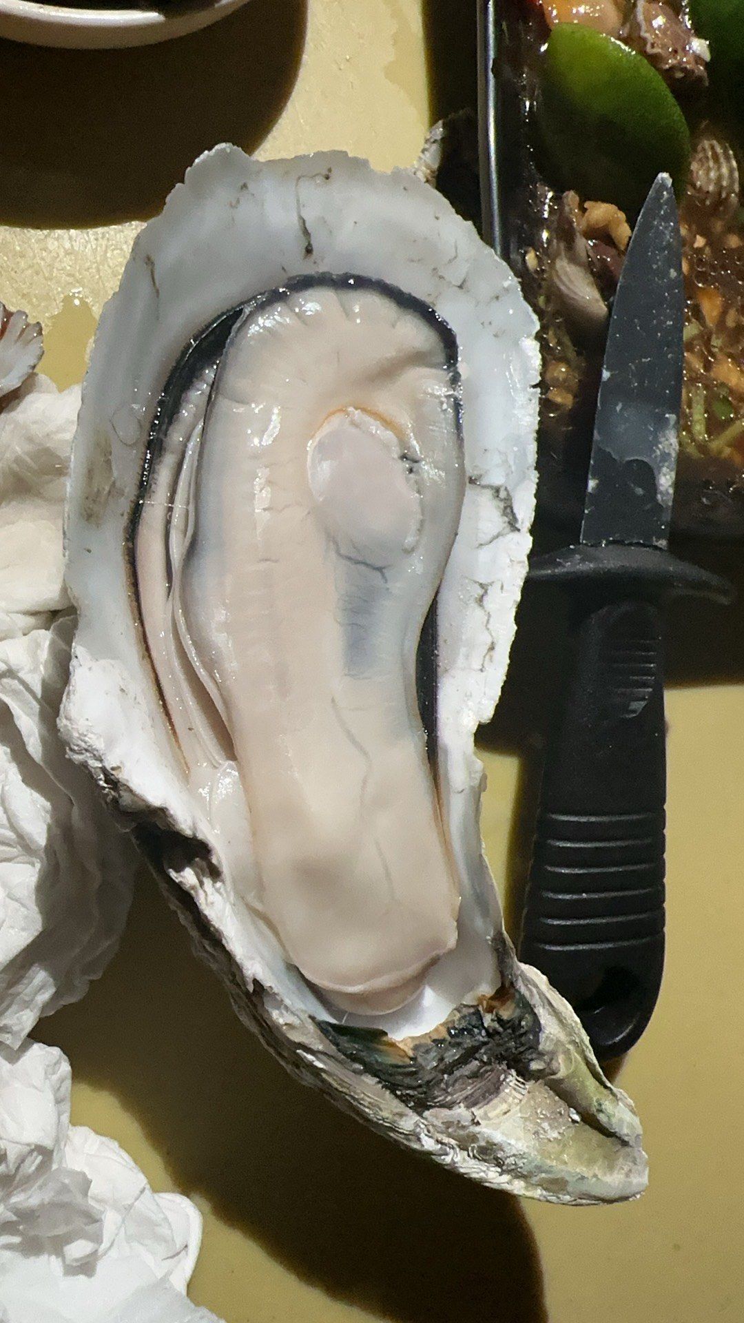 湛江生蚝(名都天街店)