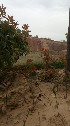 龙泉湿地公园旅行图片 2