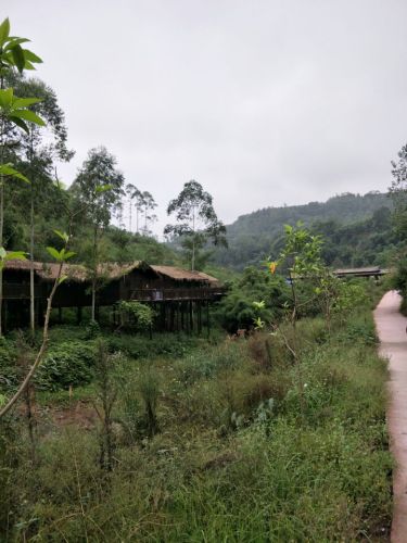 天龙谷休闲度假区旅行图片 3