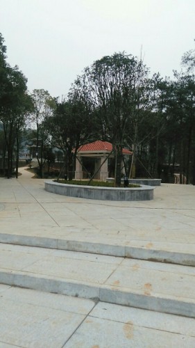 半山公园旅行图片 3