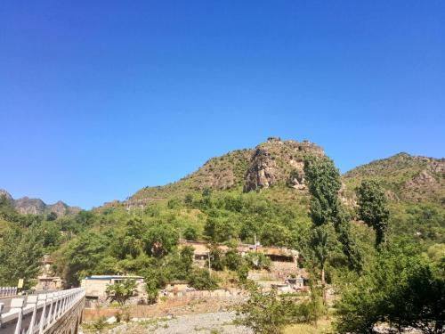 蒲洼自然保护区旅行图片 3
