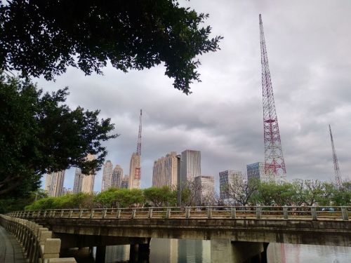 北滨江公园沉洲园旅行图片 1
