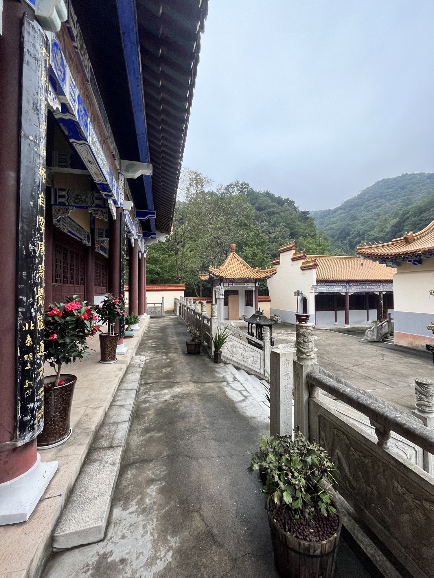洪山禅寺实景照片