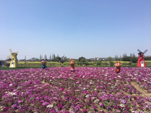 湿地公园旅行图片 1